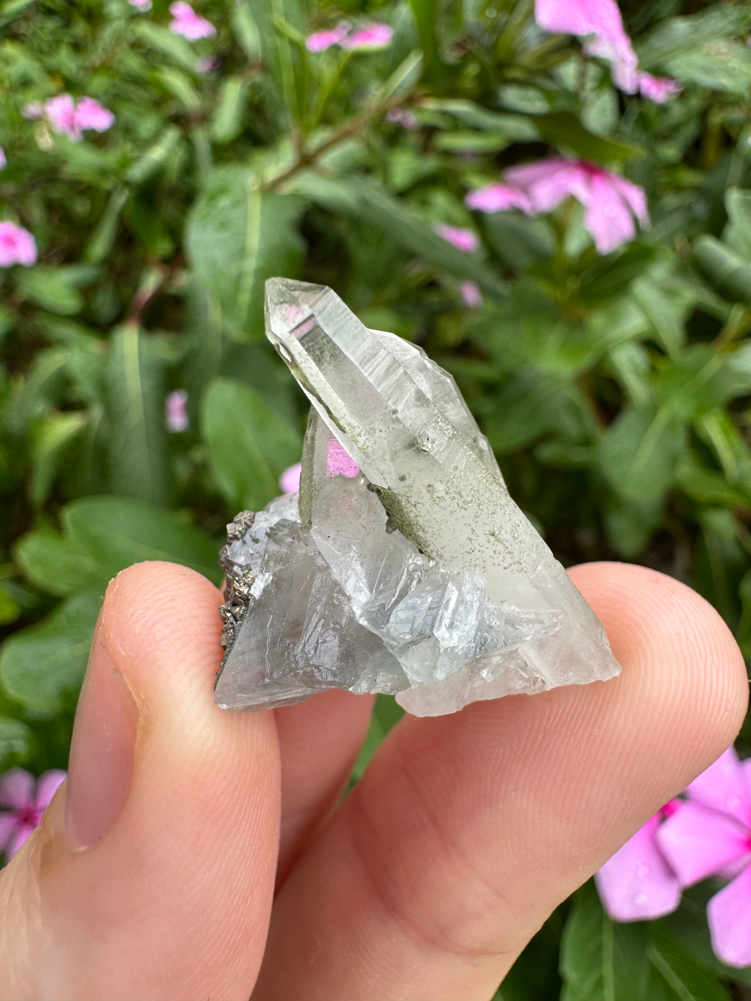 Pyrite on Fluorite Cluster - High Quality