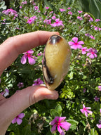 Septarian Cluster Heart with Stand