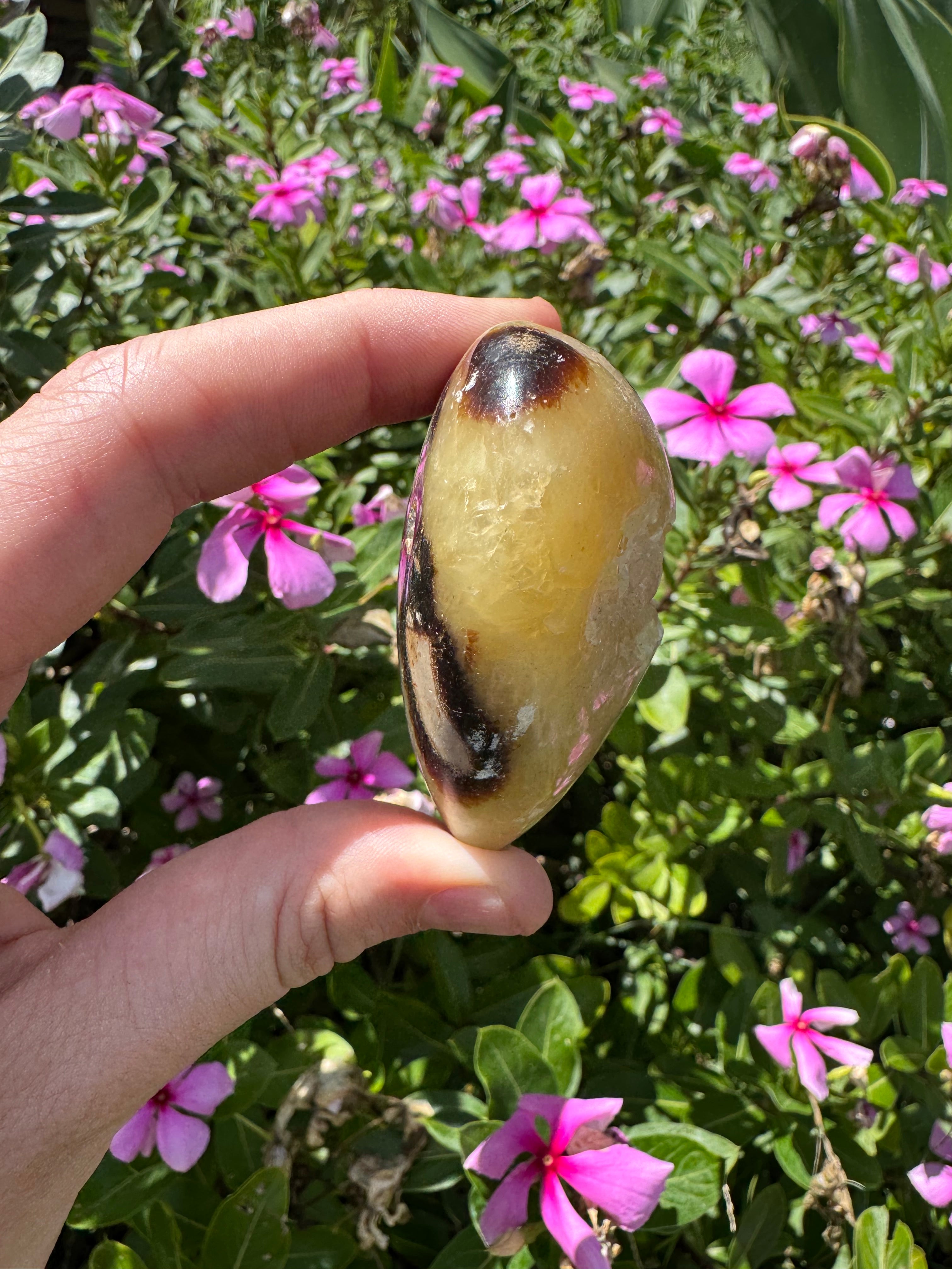 Septarian Cluster Heart with Stand