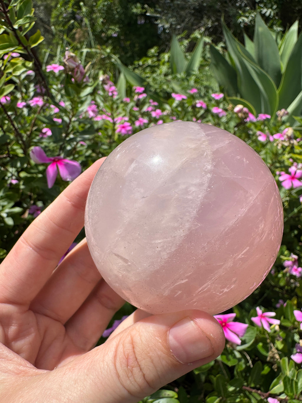 Rose Quartz Sphere with Asterism