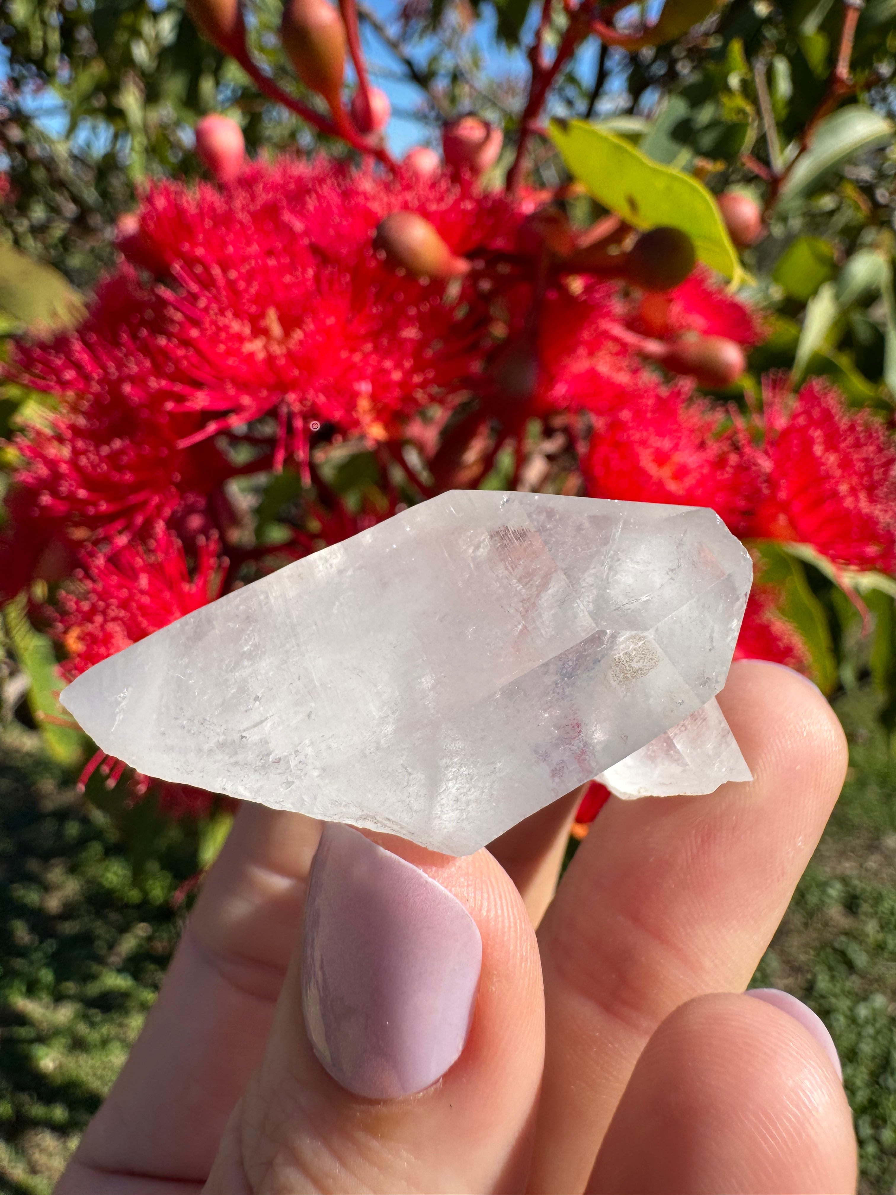 Himalayan Quartz Cluster