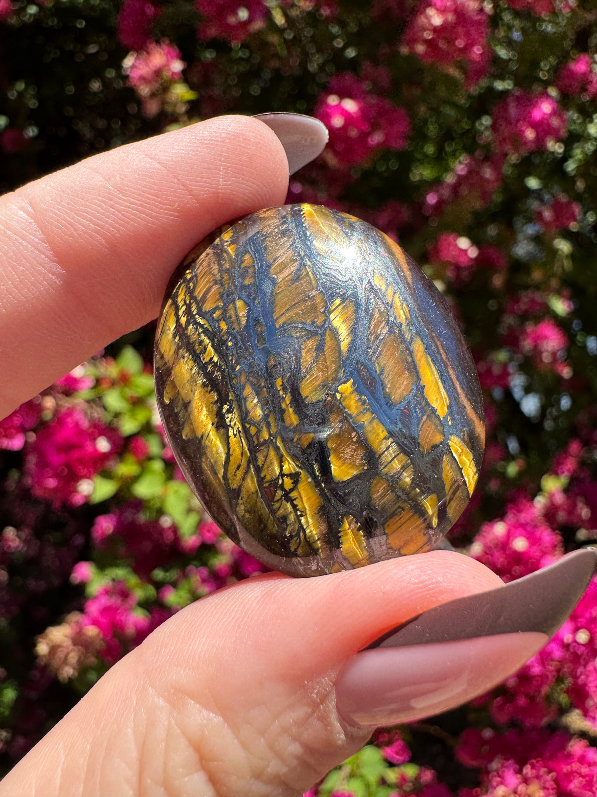 Tigers Eye Cabachon | Hamersley Ranges