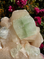 Green ‘Cube’ Apophyllite Specimen