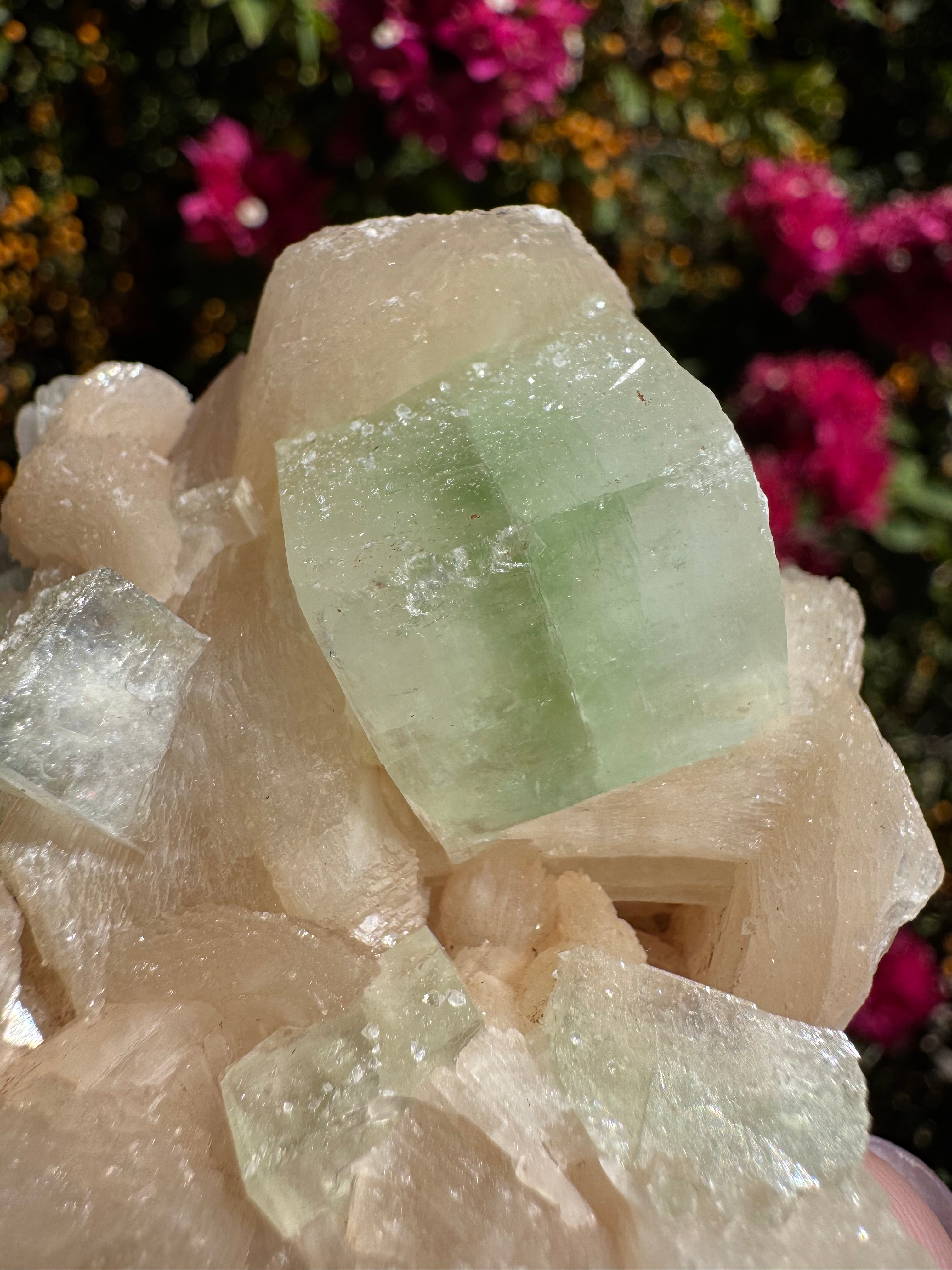 Green ‘Cube’ Apophyllite Specimen