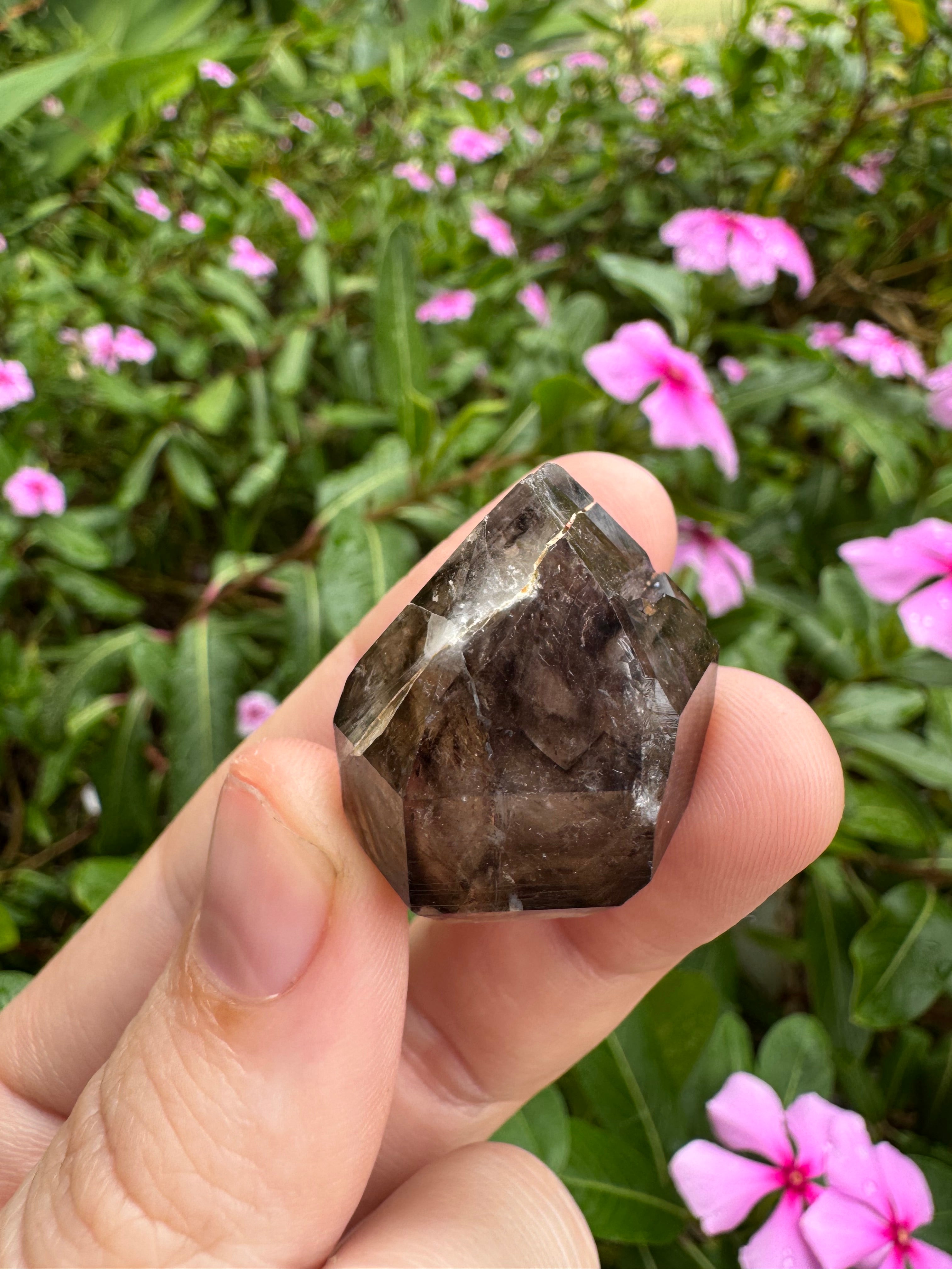 Mooralla Smoky Quartz Cluster