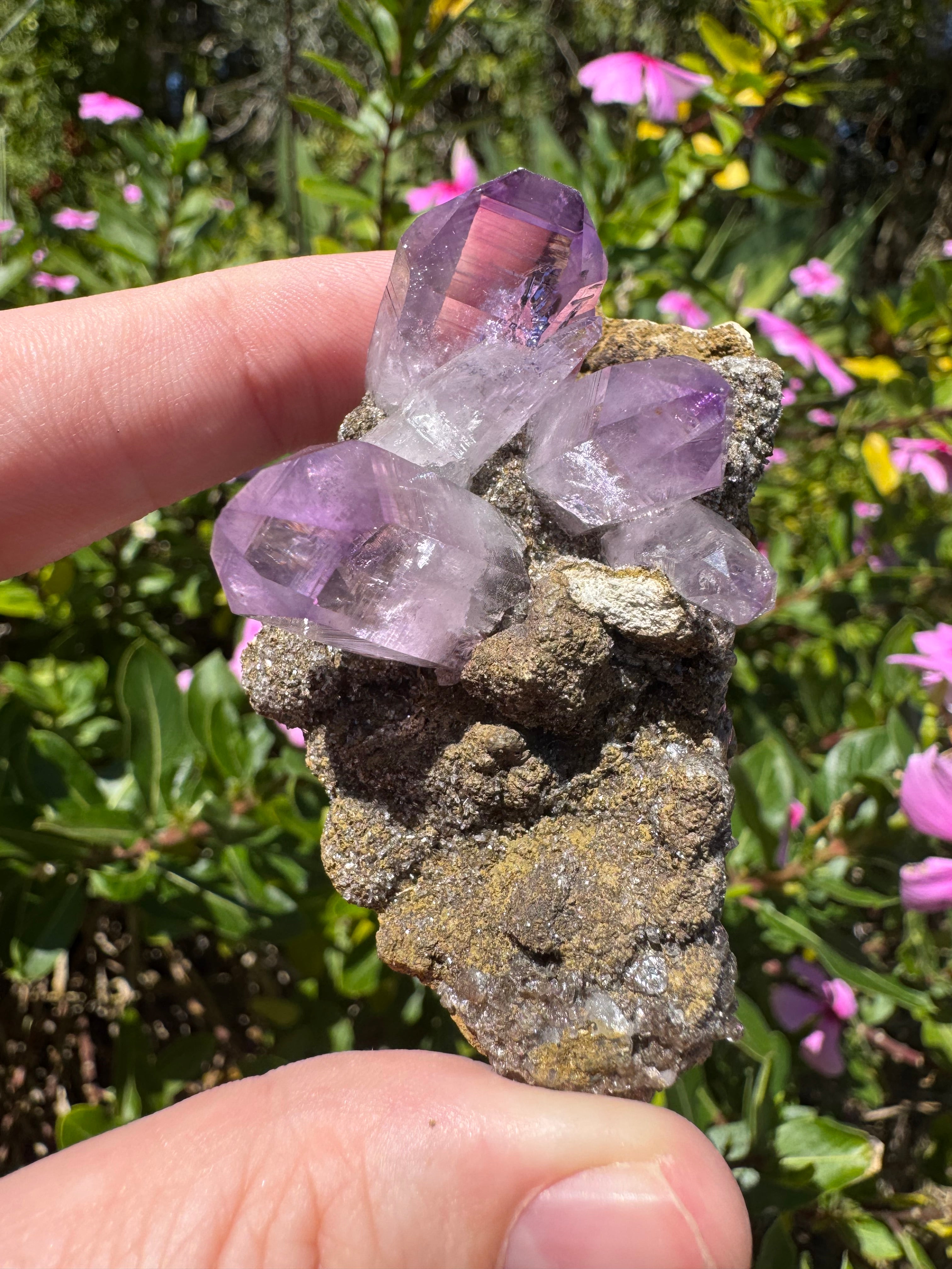 Vera Cruz Amethyst Specimen