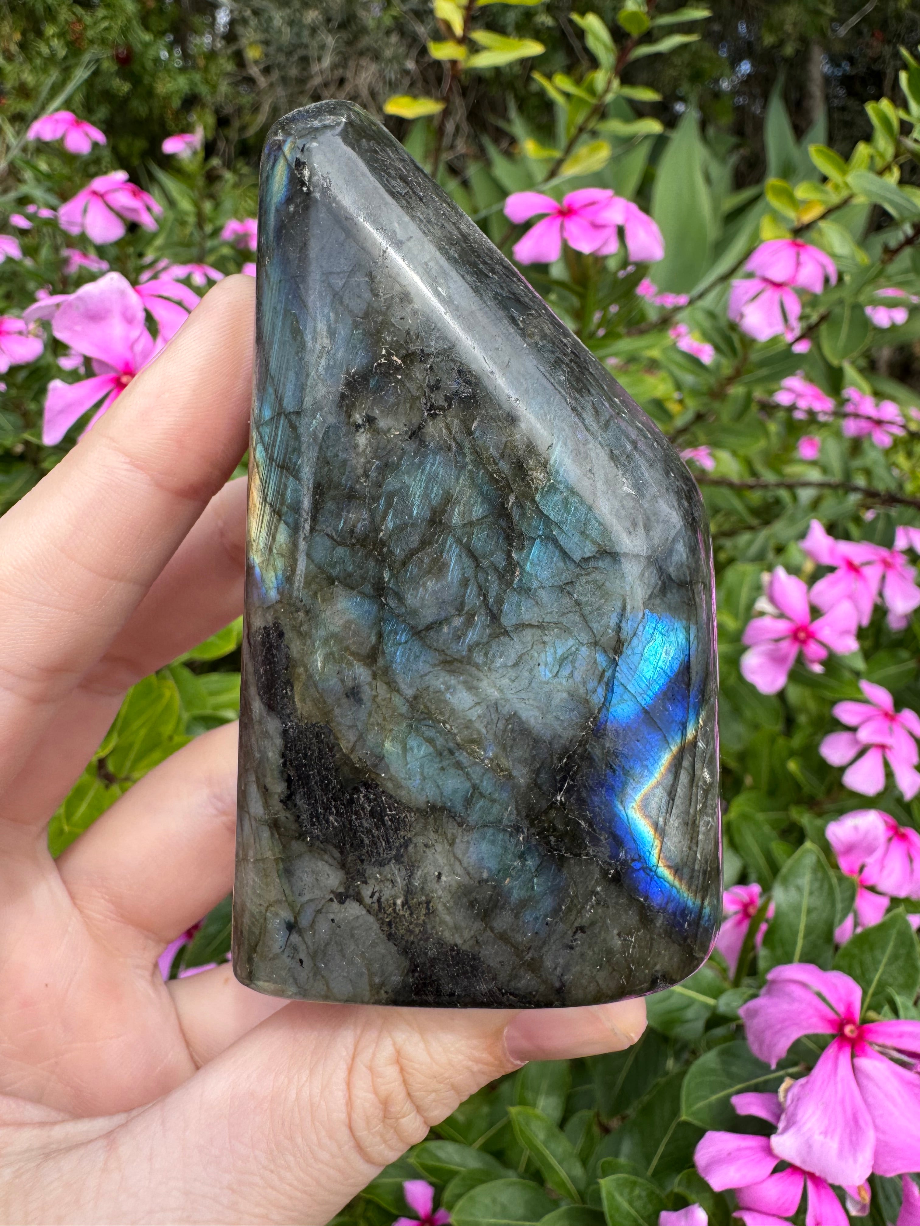 Labradorite Standing Freeform