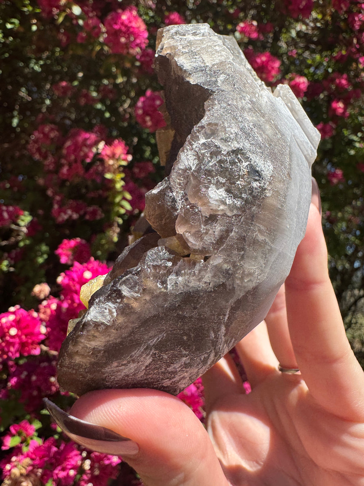 Golden Barite With Botryoidal Chocolate Calcite Specimen | 1.6kg