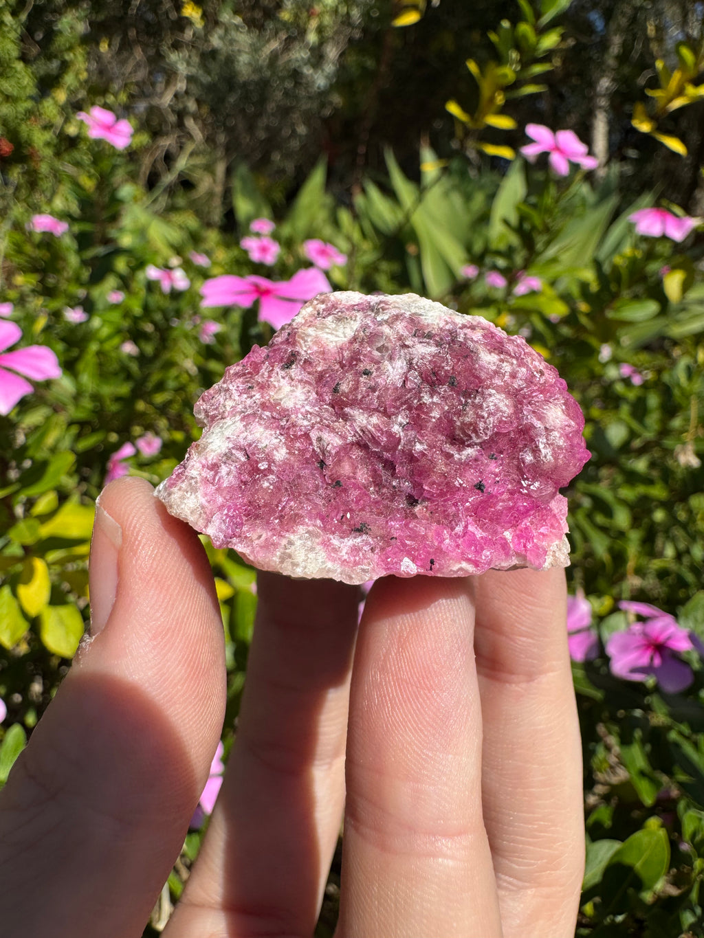 Cobalt Calcite Specimen - AAA Grade