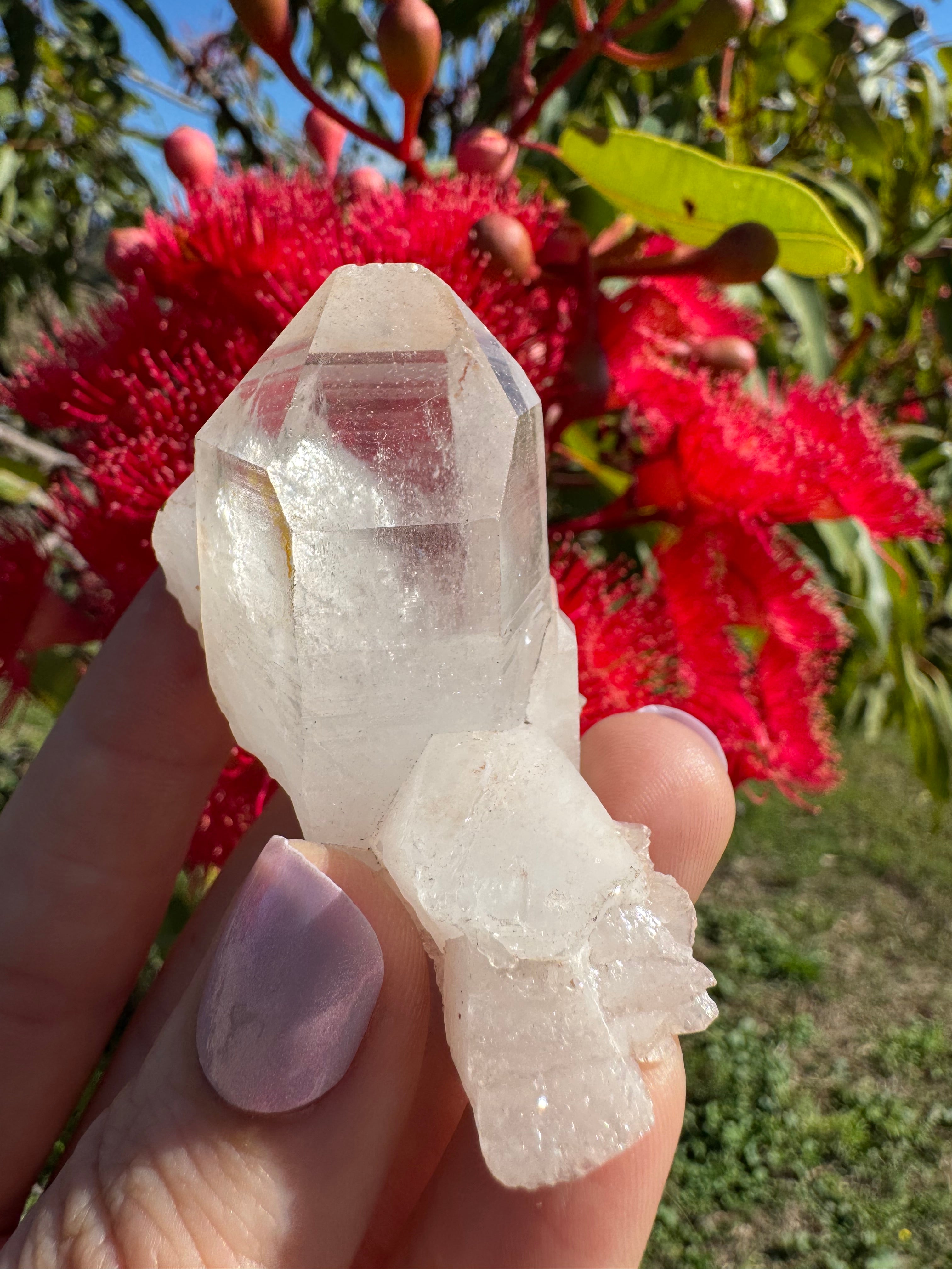 Himalayan Quartz Cluster