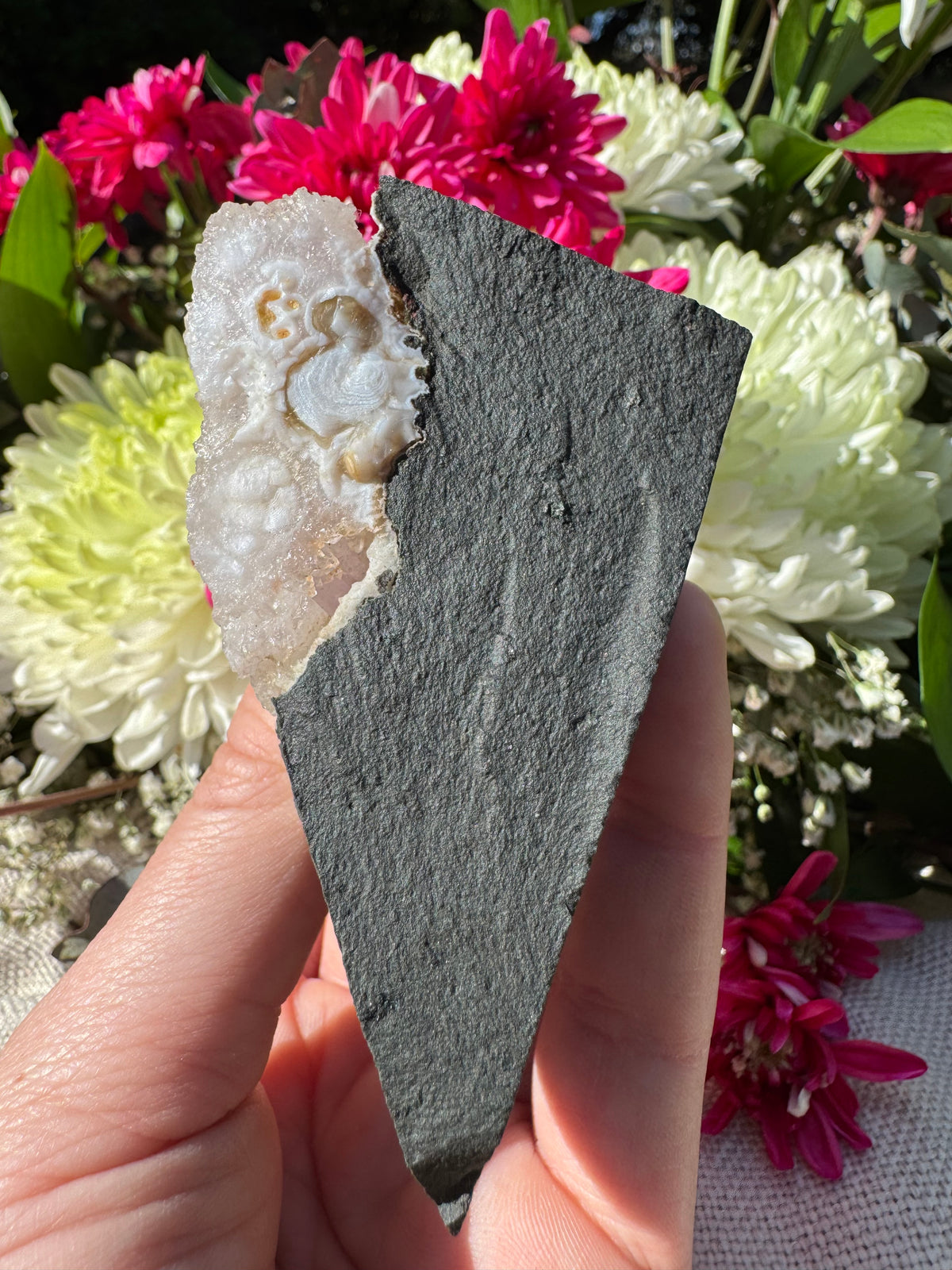 Amethyst Points on Basalt Matrix – Brandberg