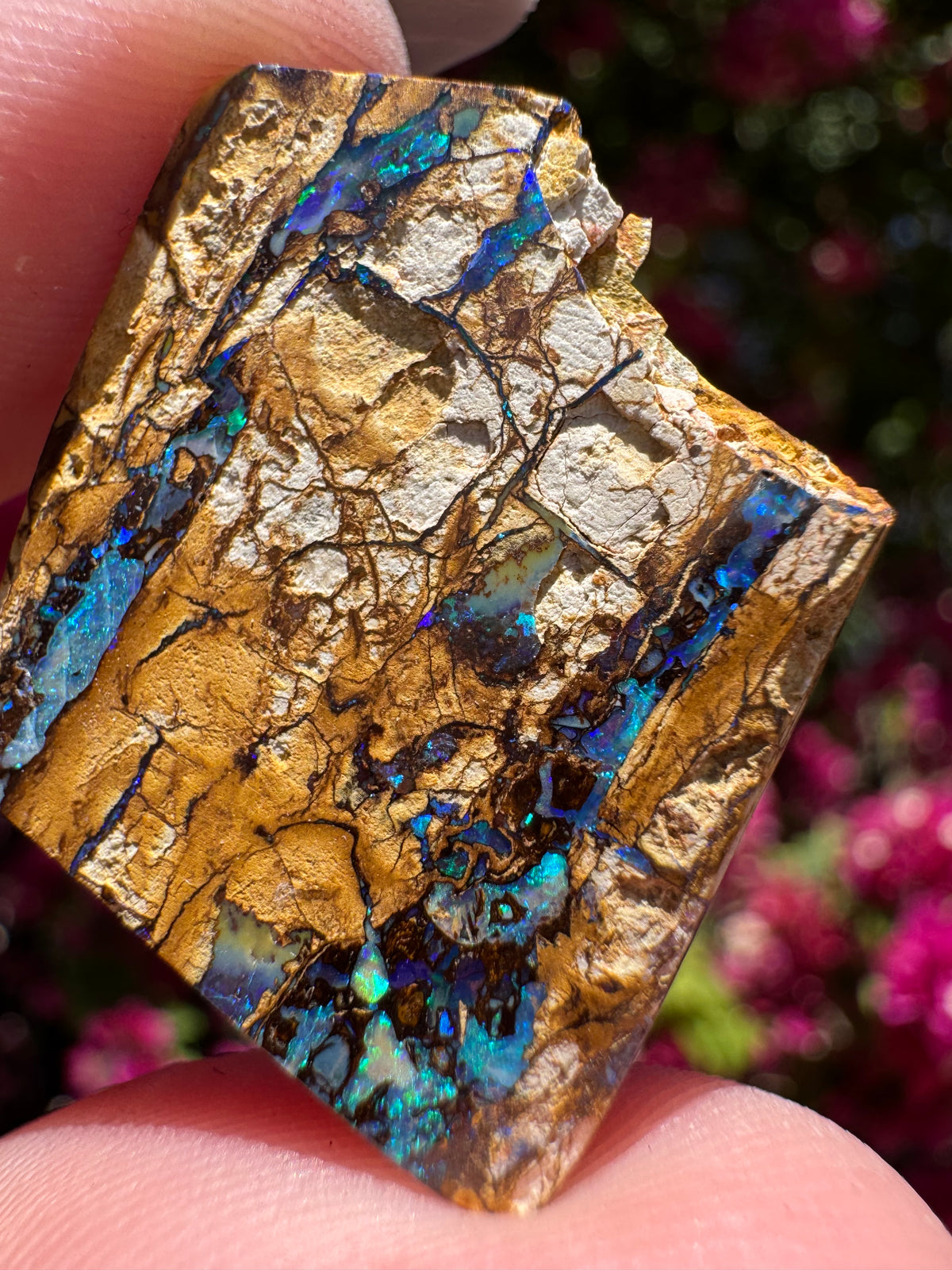 Polished Boulder Opal | Karoit