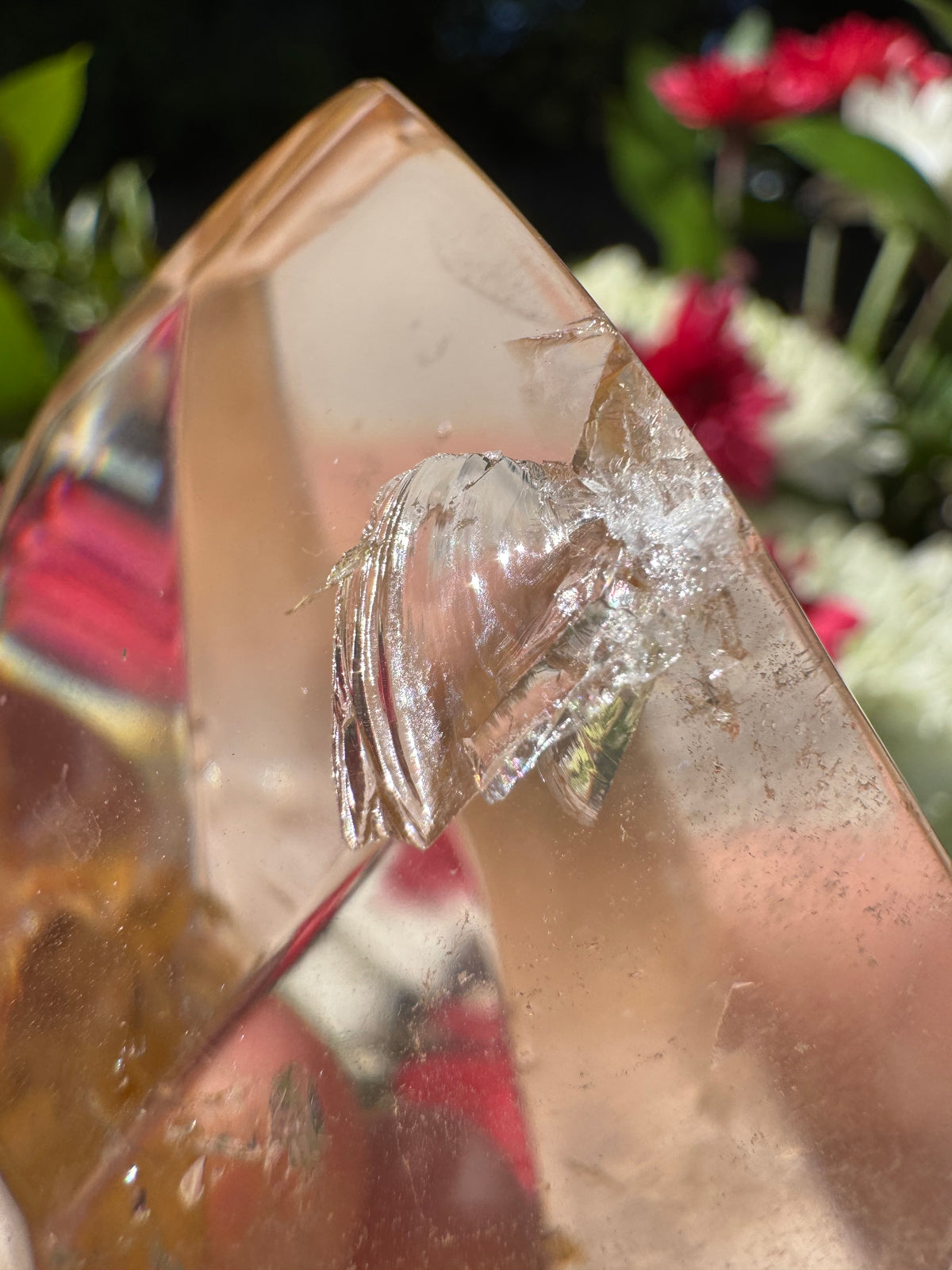 Garden Quartz With Rutile Inclusions Freeform - High Quality