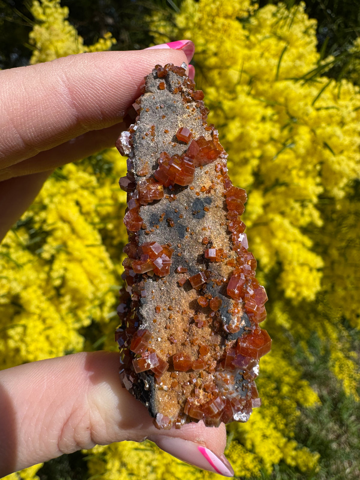 Vanadinite and Black Barite Specimen