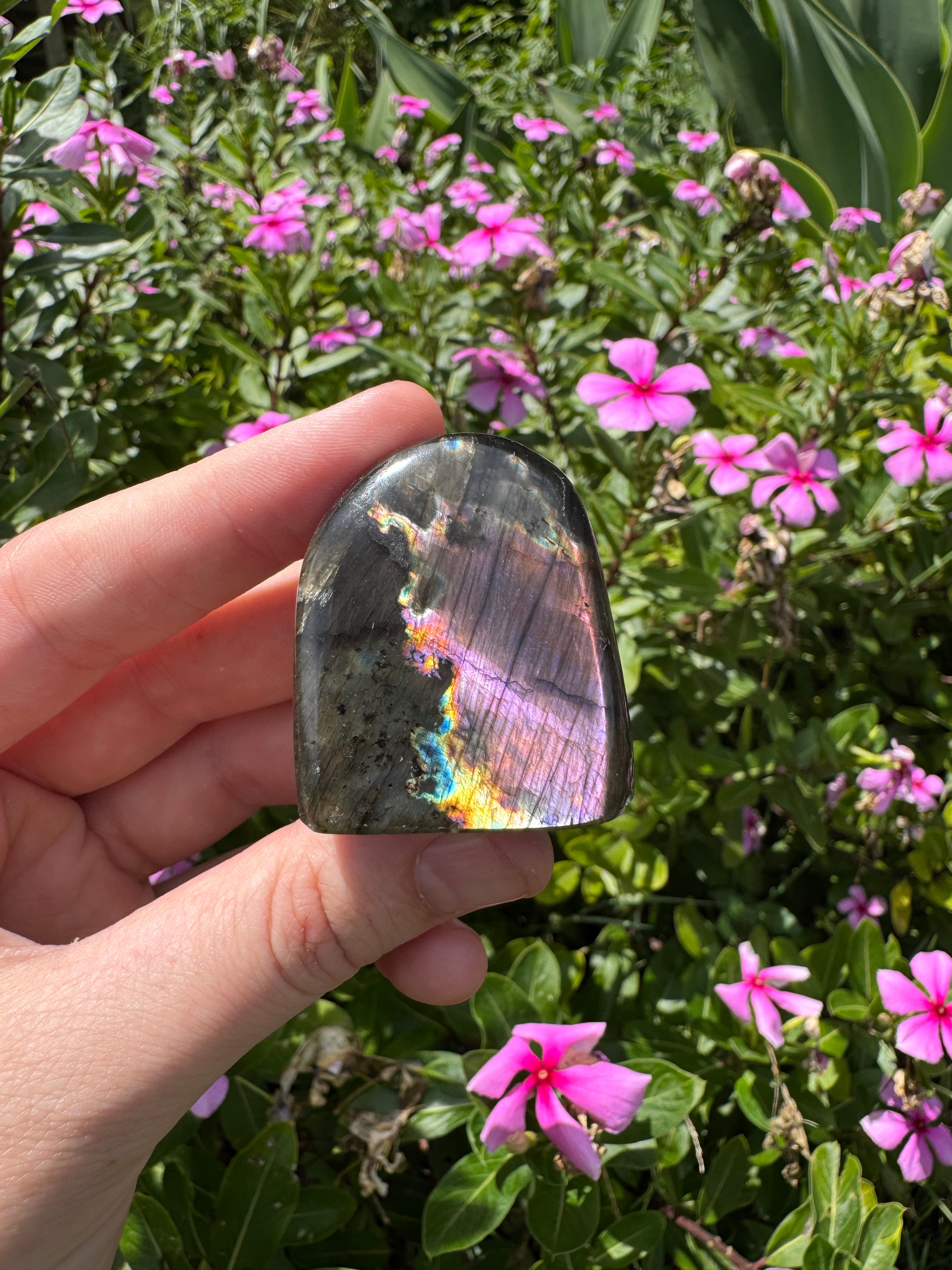 Spectrolite Labradorite Freeform