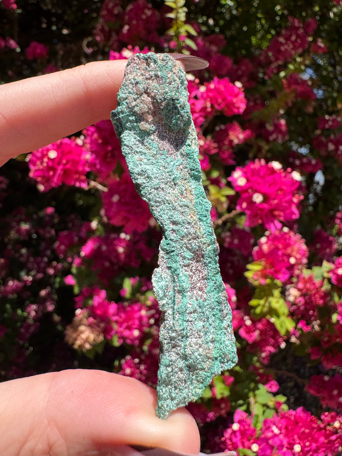 Atacamite Specimen | South Australia