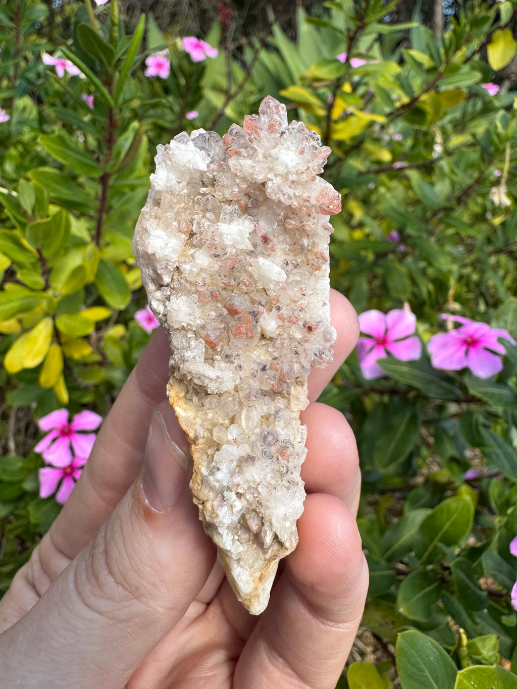 Hematite Quartz Specimen - Mt Isa