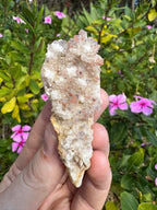 Hematite Quartz Specimen - Mt Isa