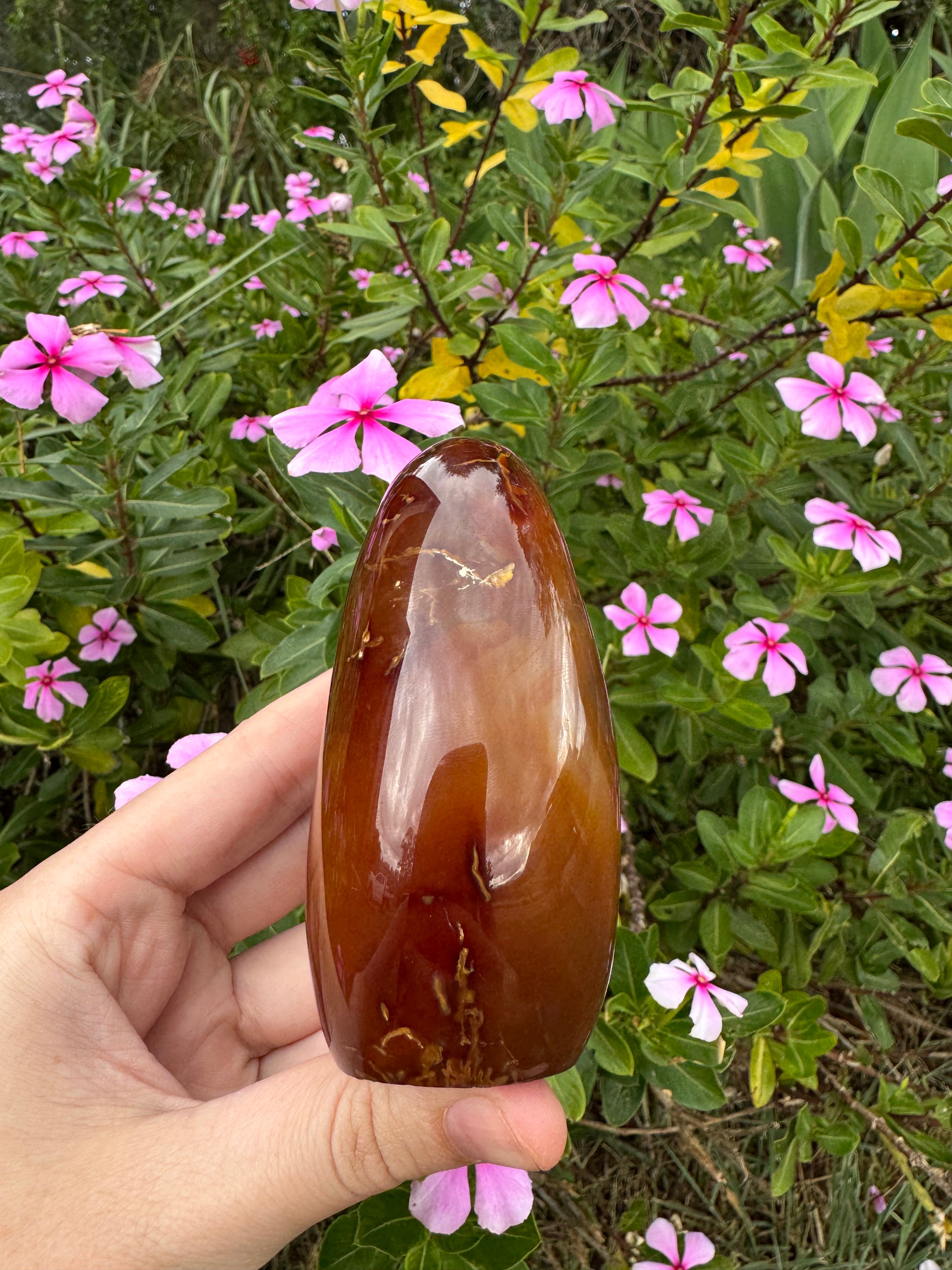 Carnelian Freeform - Natural Carved Inclusion