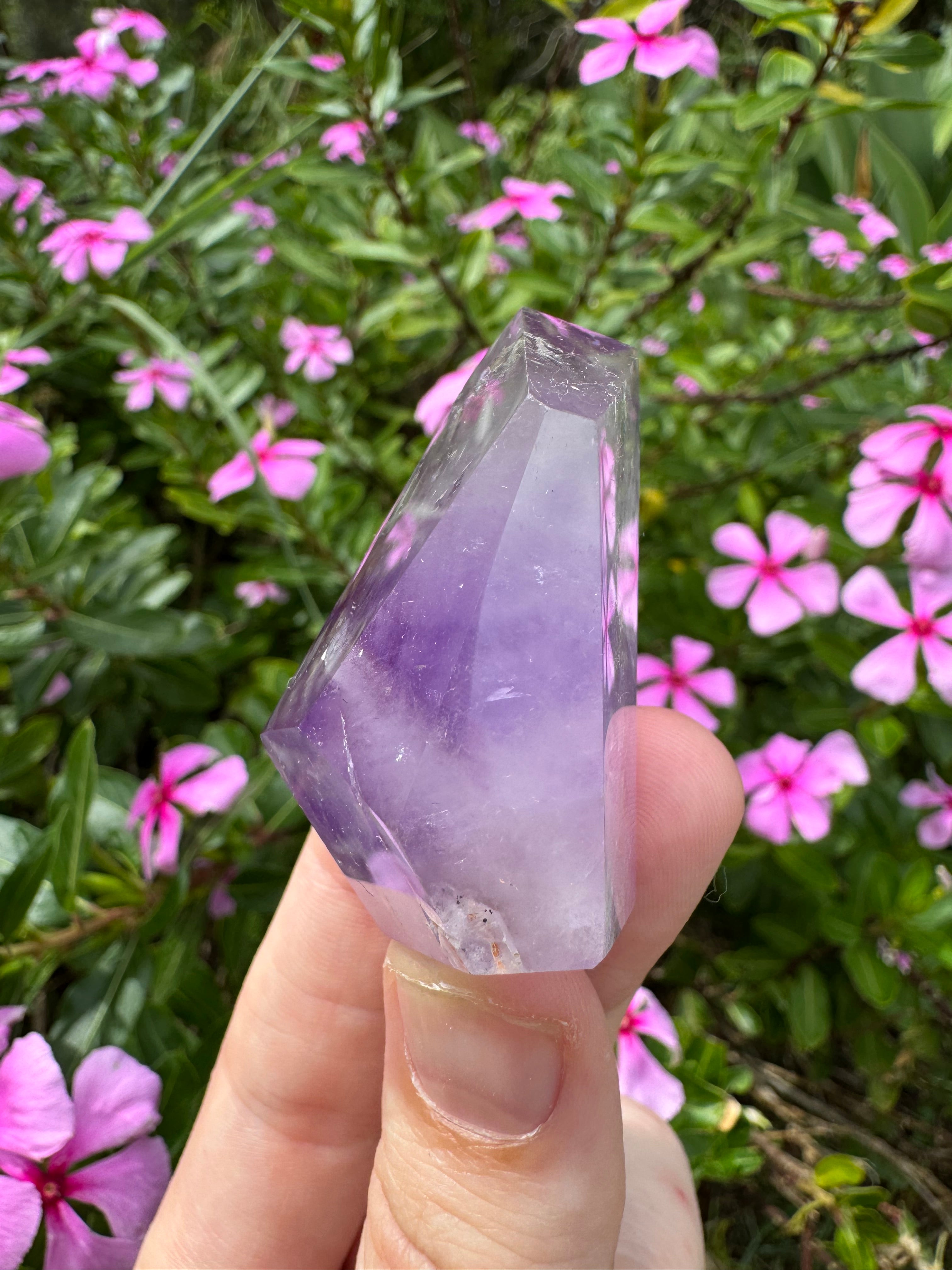 Amethyst Faceted Freeform