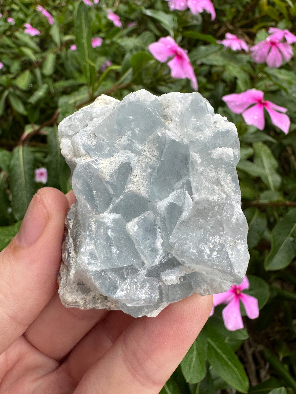Blue Cubic Fluorite Cluster
