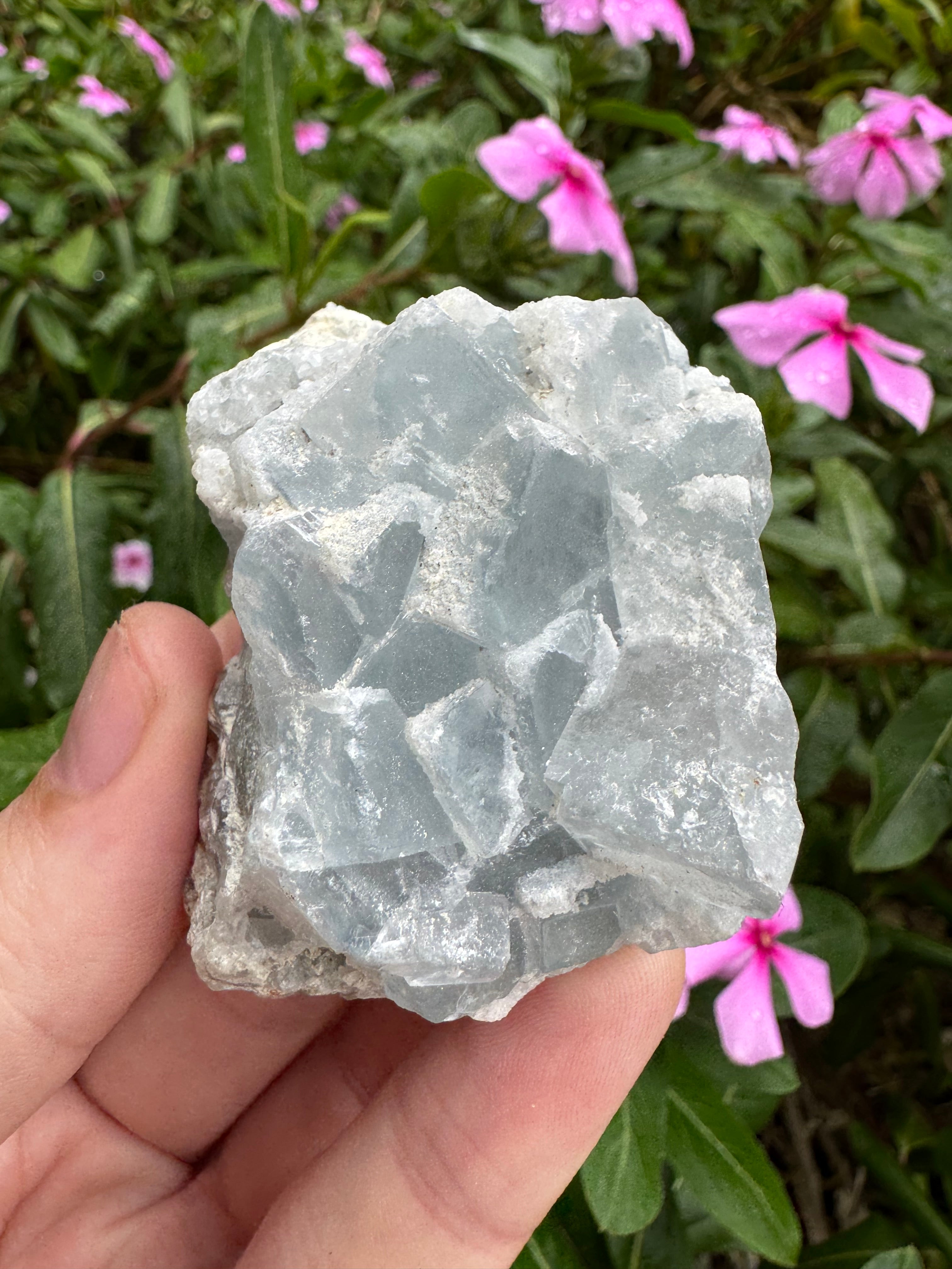 Blue Cubic Fluorite Cluster