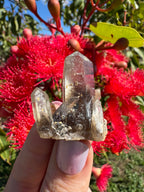 Hematite Phantom Quartz Cluster - Torrington
