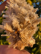 Selenite ‘Gypsum’ Natural Specimen - Chillingollah