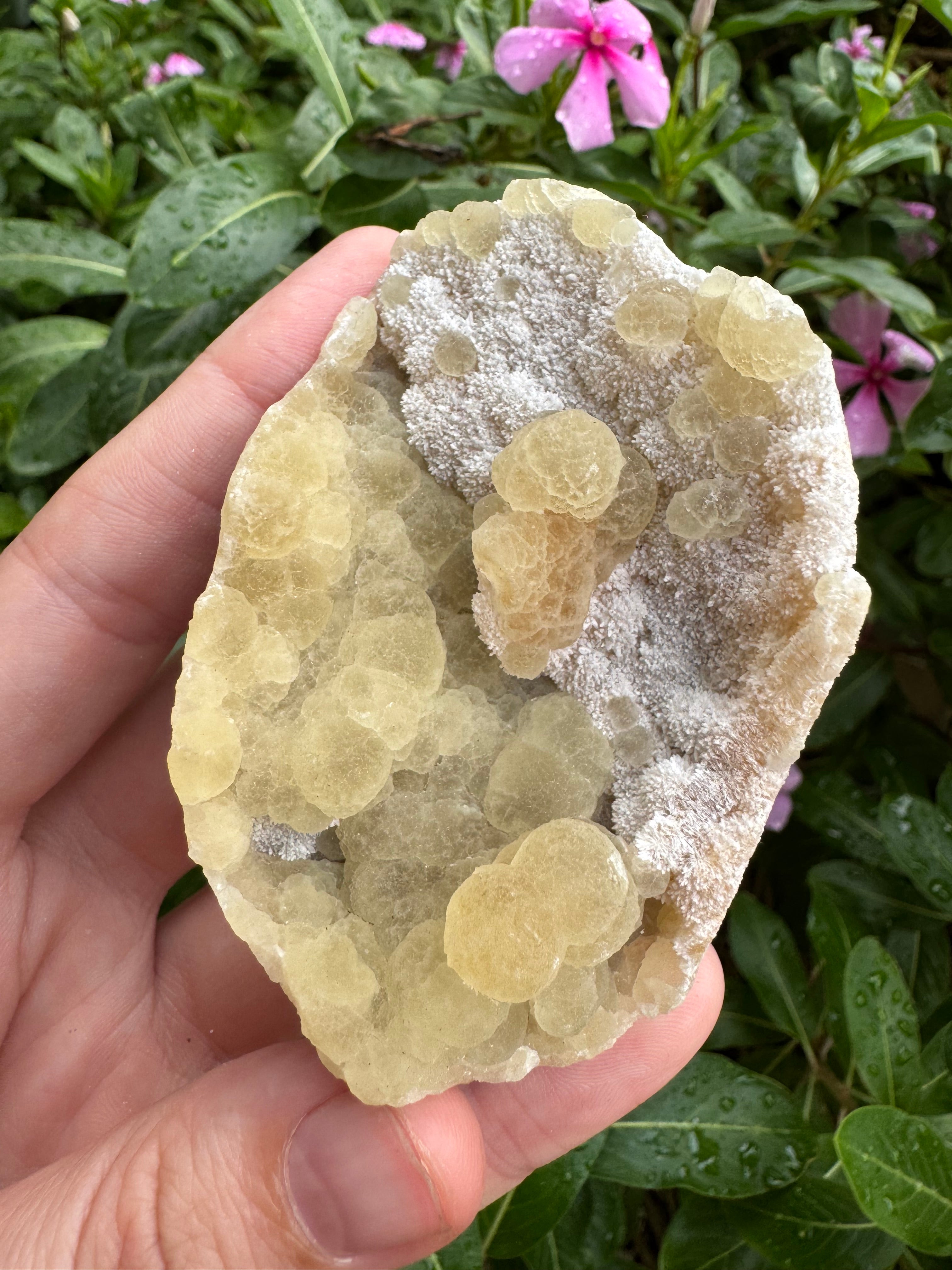 Yellow Fluorite Botryoidal Specimen