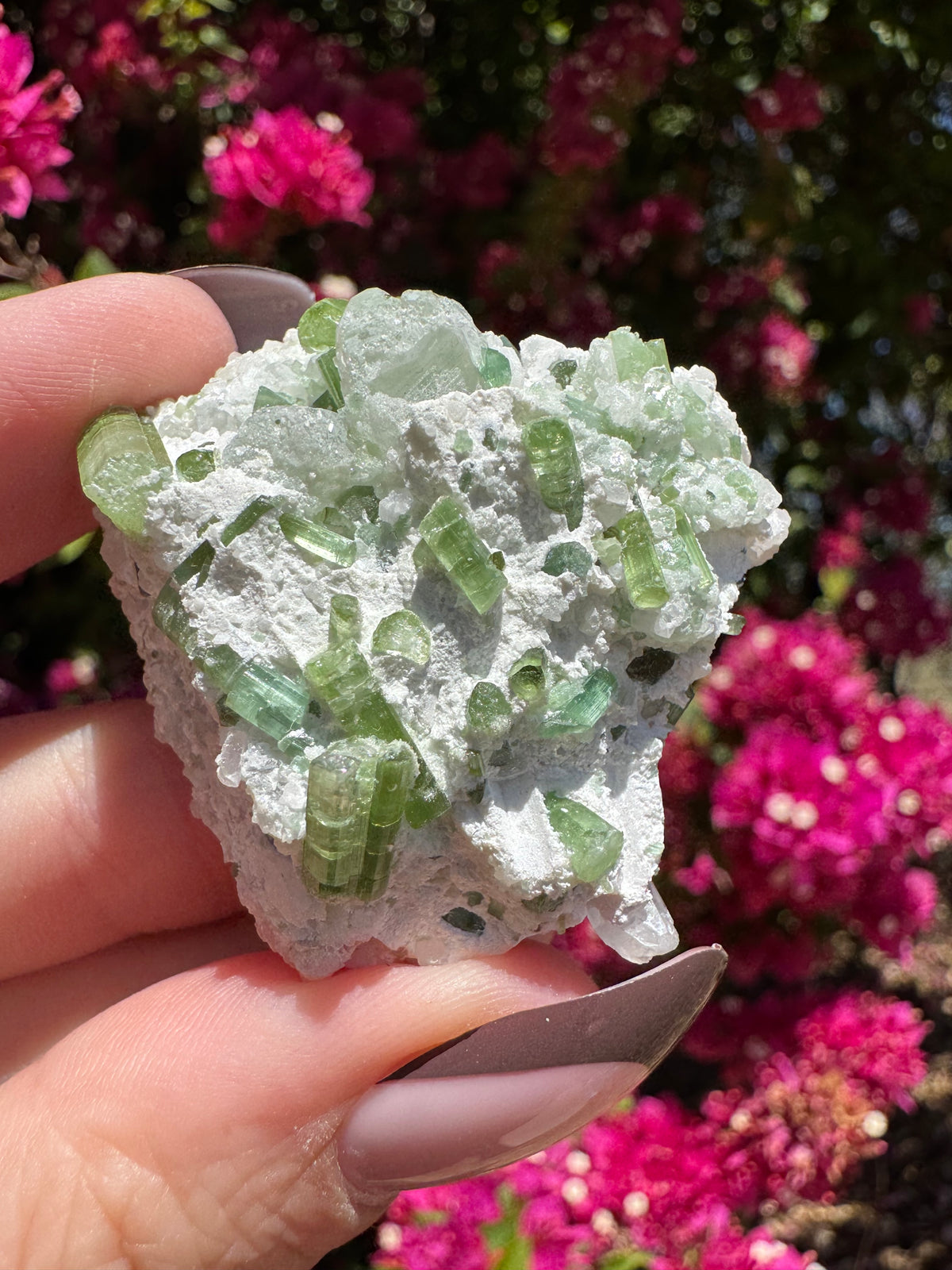 Spécimen de tourmaline verte avec kunzite sur matrice d'albite