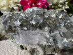 Amethyst Points With Botryoidal Green Fluorite Specimen - Brandberg