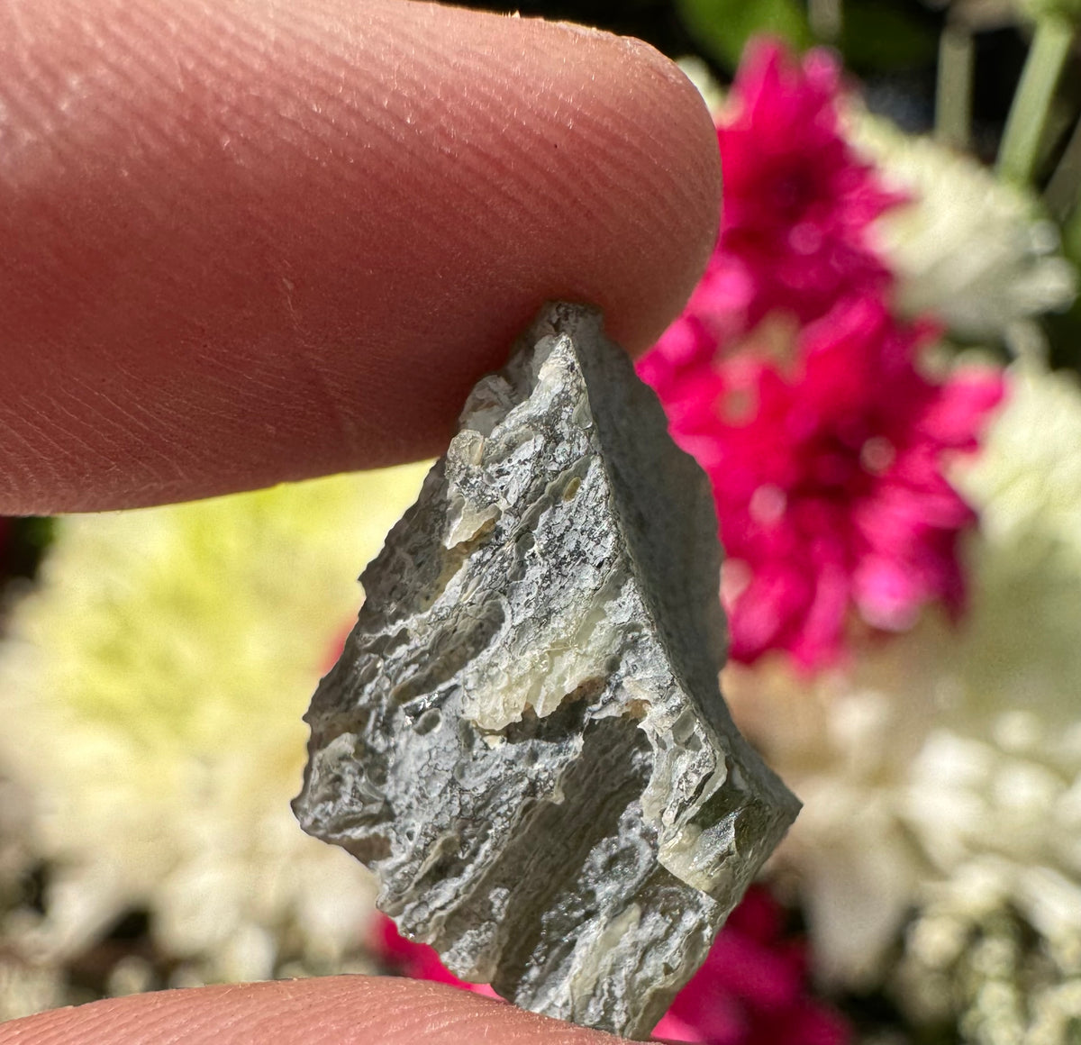 Devitrified Moldavite (Snowflake Moldavite) Specimen