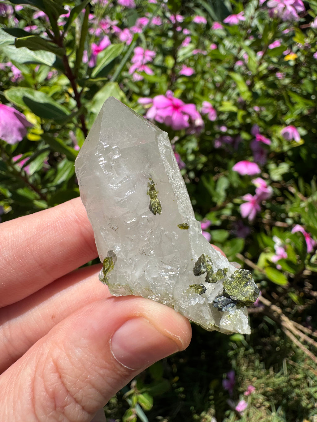 Sugar-Coated Epidote On Quartz Point