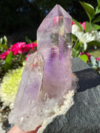 Amethyst Points on Basalt Matrix – Brandberg