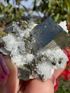 Pyrite Cubes on Quartz Specimen