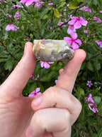 Spiralite ‘Gastropod’ Fossil