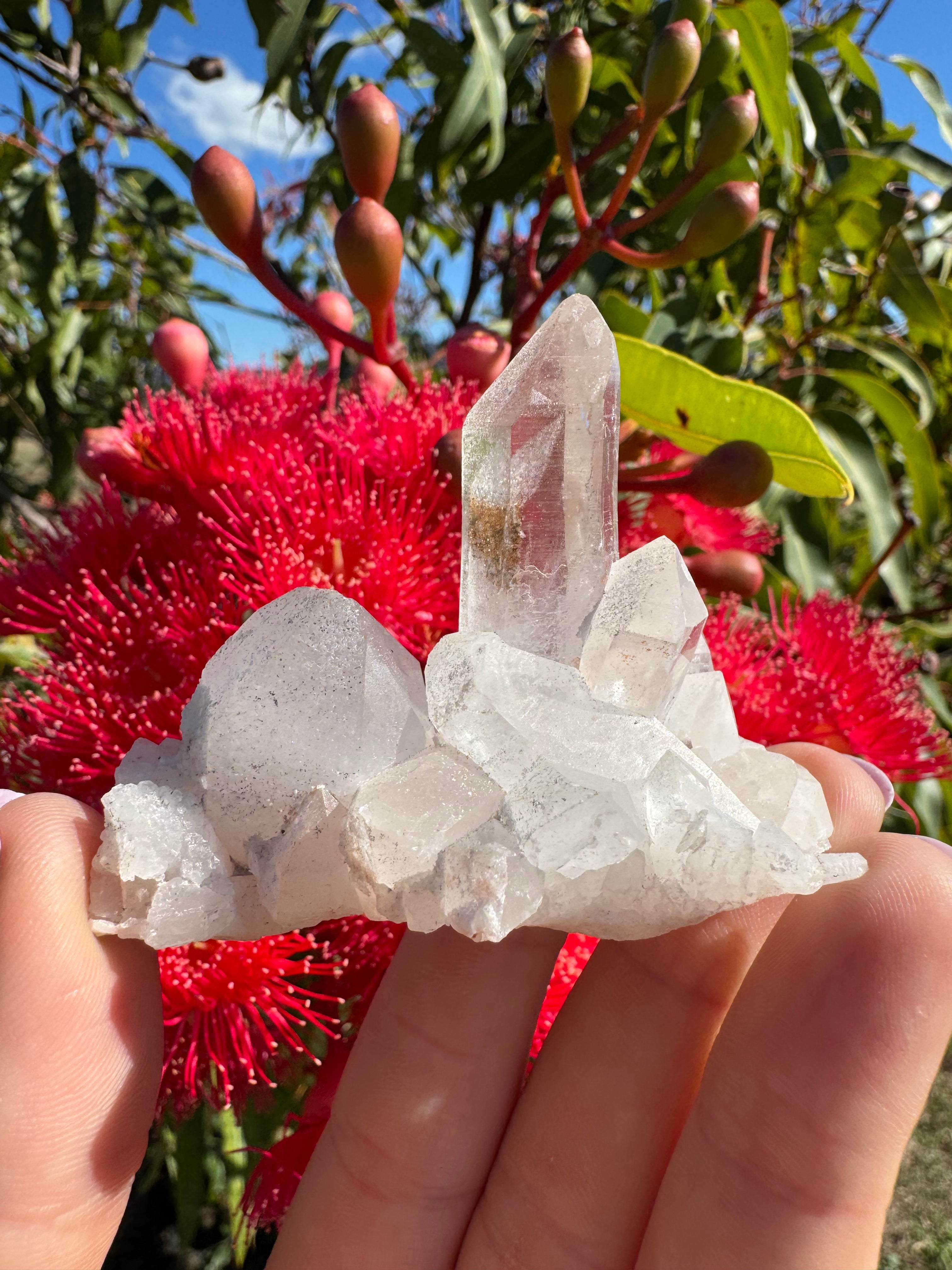 Himalayan Quartz Cluster