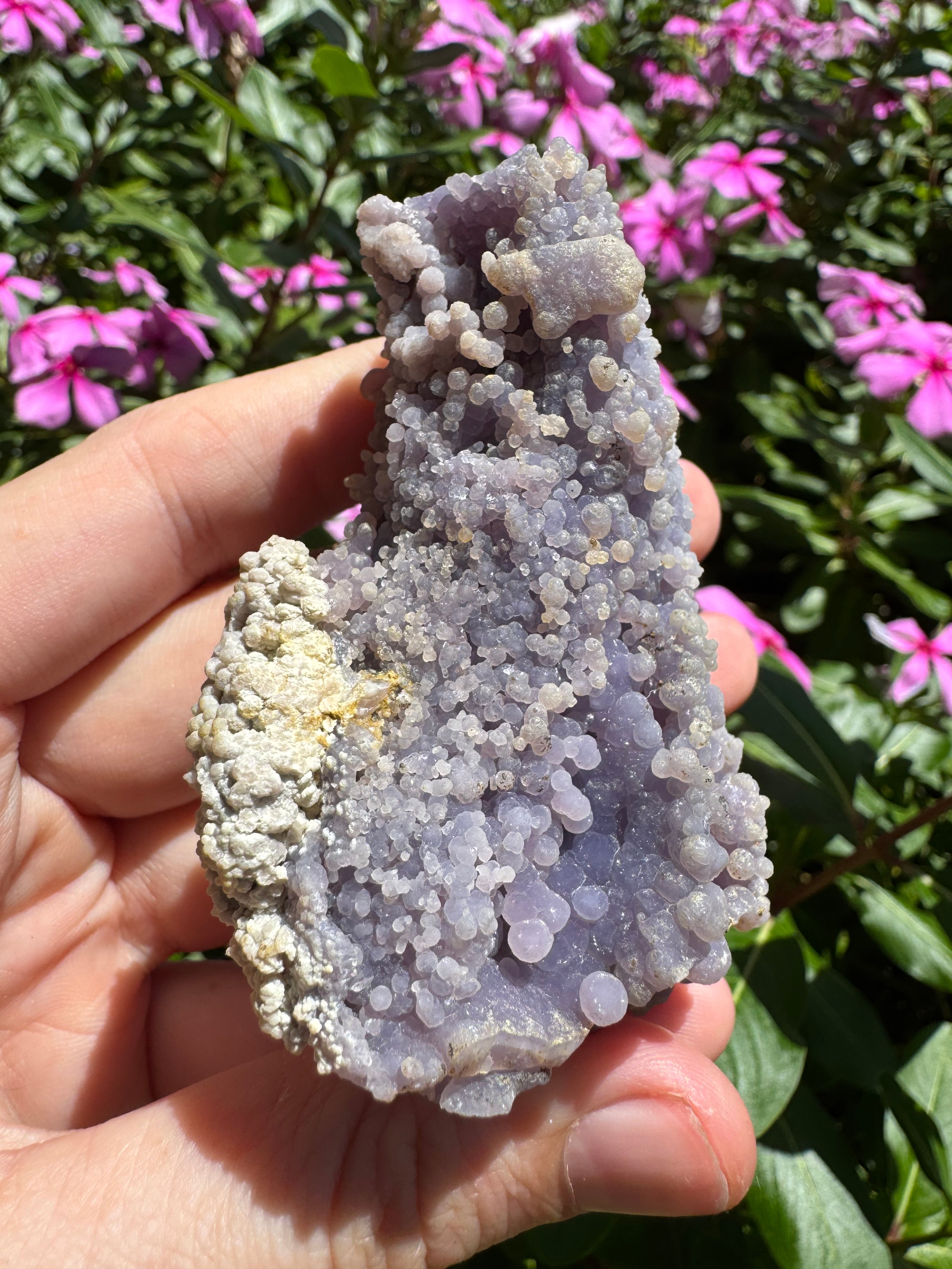 Natural Grape Agate Cluster