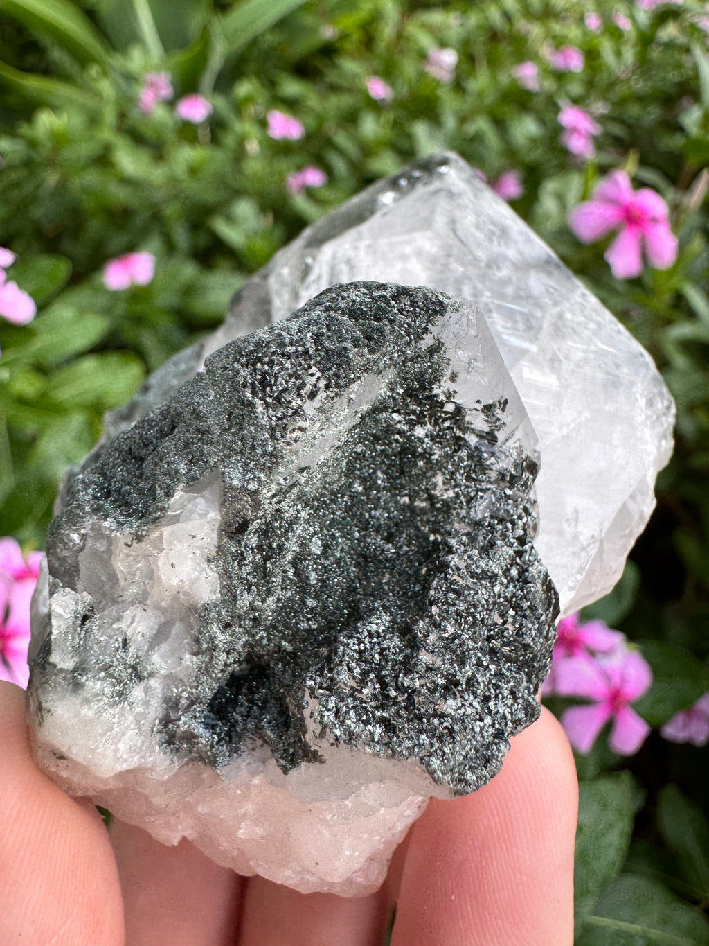 Silver Garden Quartz with Actinolite Inclusions Point