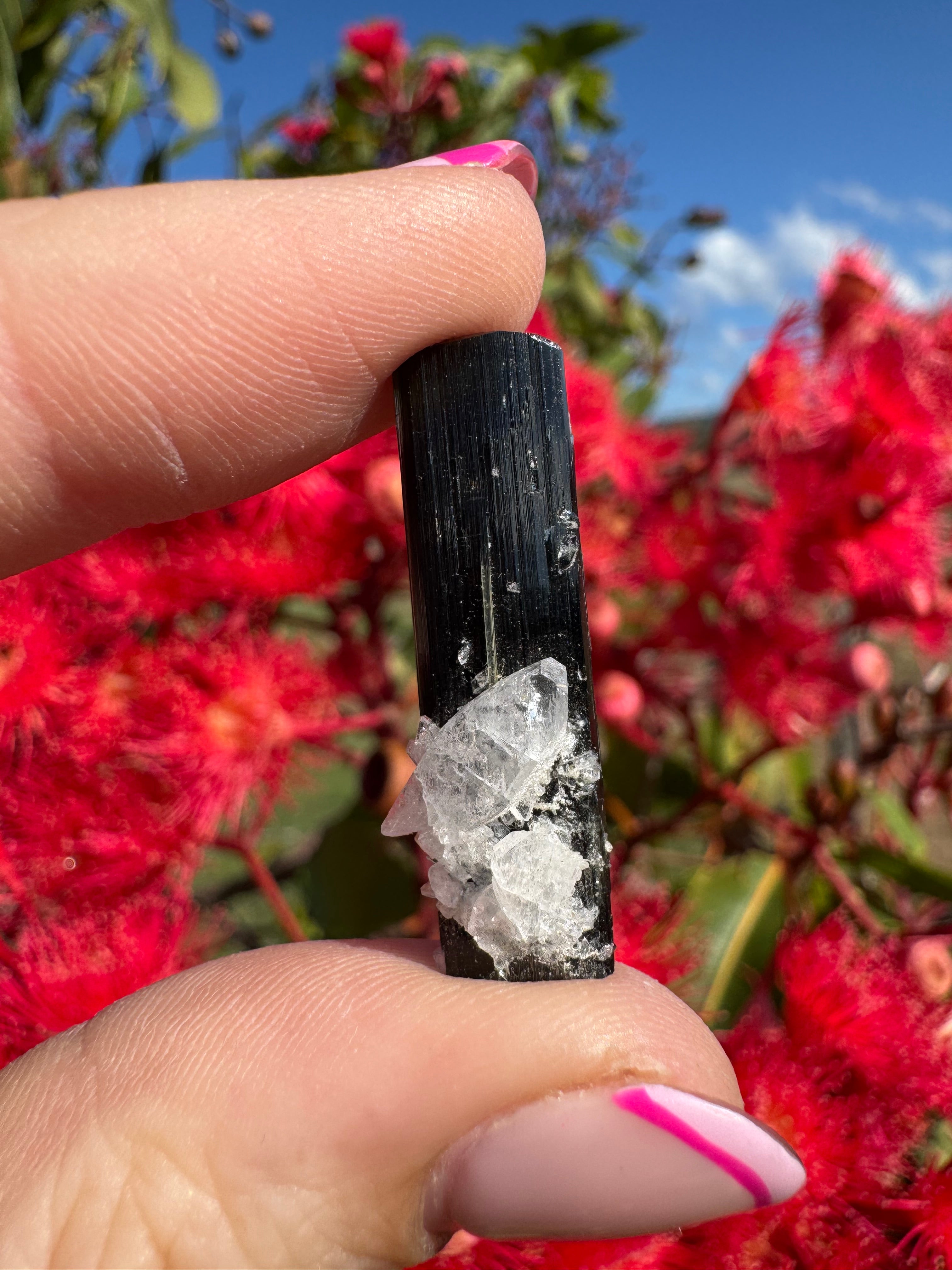 Green Tourmaline and Quartz Specimen - Stak Nala