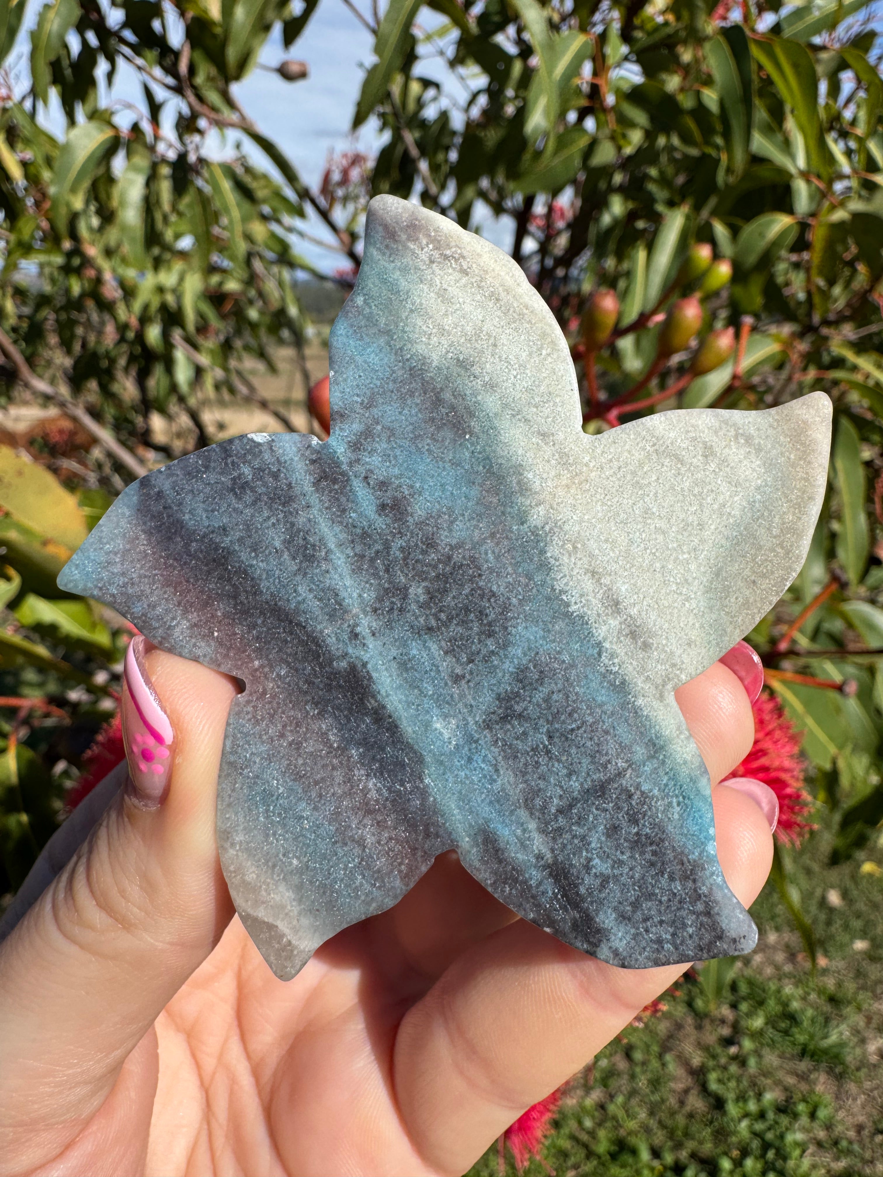 Trollite Starfish Carving