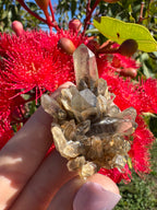Hematite Phantom Quartz Cluster - Torrington