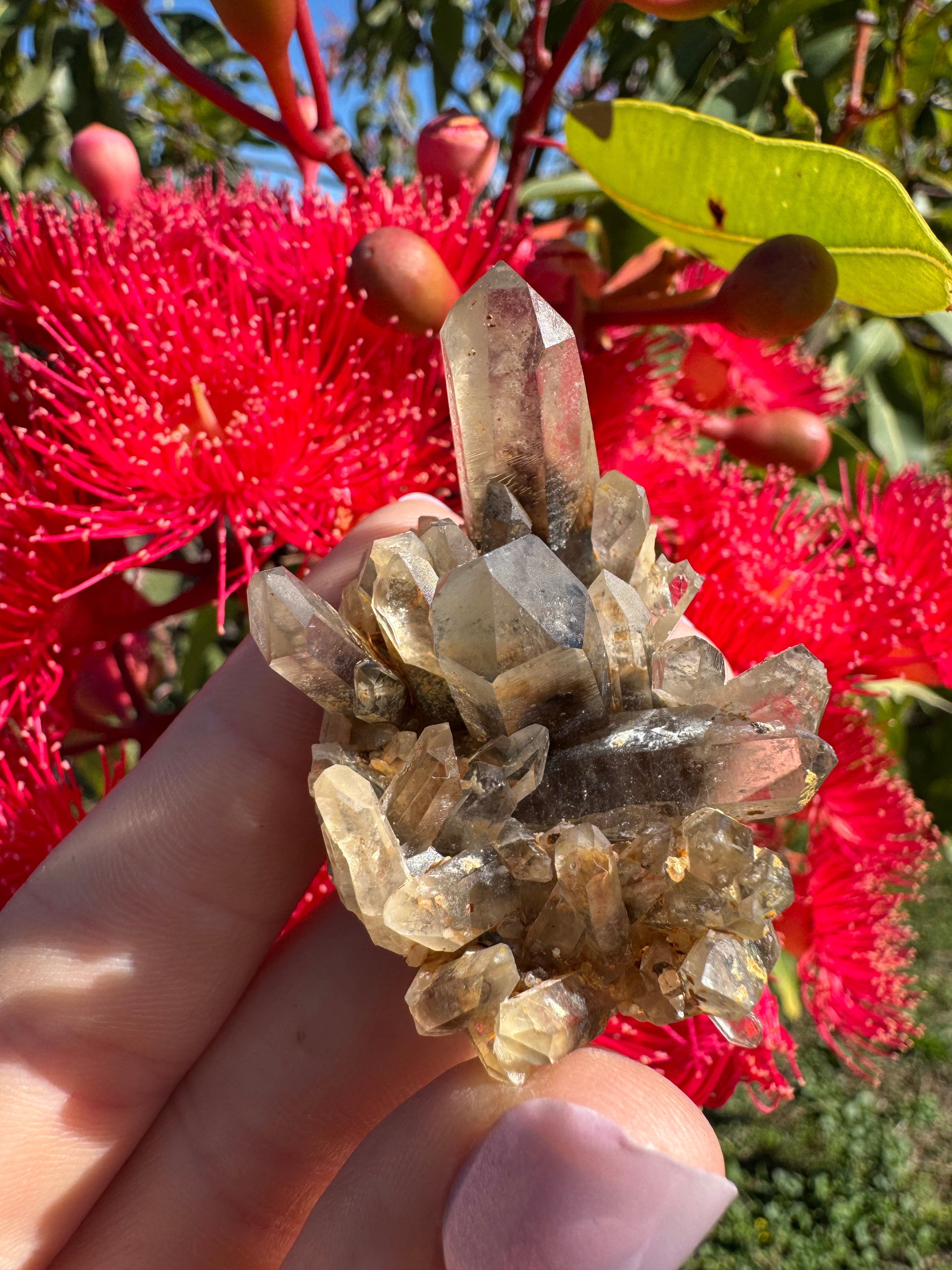 Hematite Phantom Quartz Cluster - Torrington