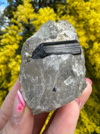 Black Tourmaline In Quartz Specimen
