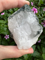 Silver Garden Quartz with Actinolite Inclusions Point