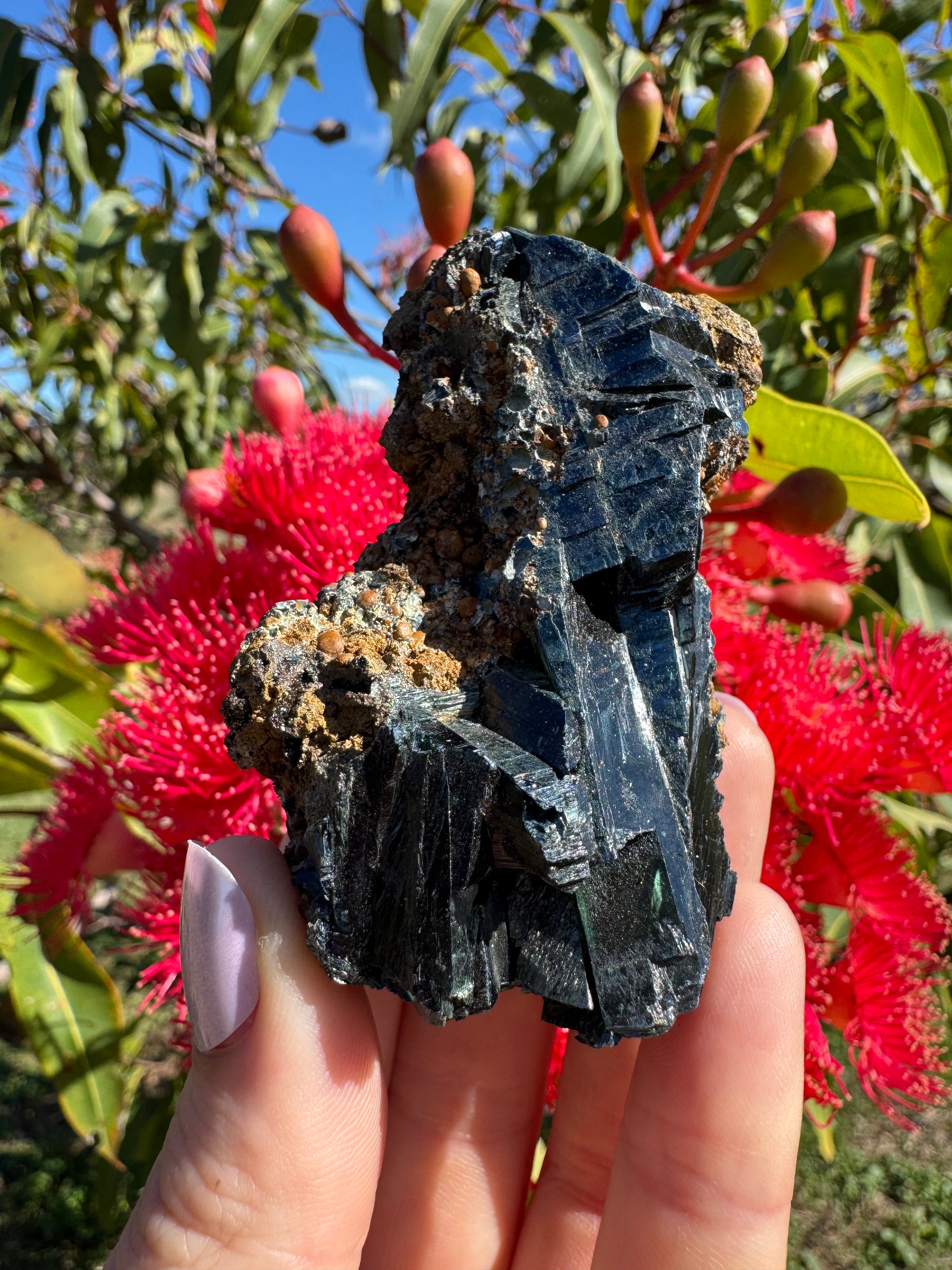 Vivianite on Matrix Specimen
