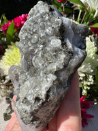 Amethyst Points With Botryoidal Green Fluorite Specimen - Brandberg