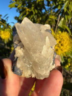 Spécimen de calcite en dents de chien sur matrice de galène
