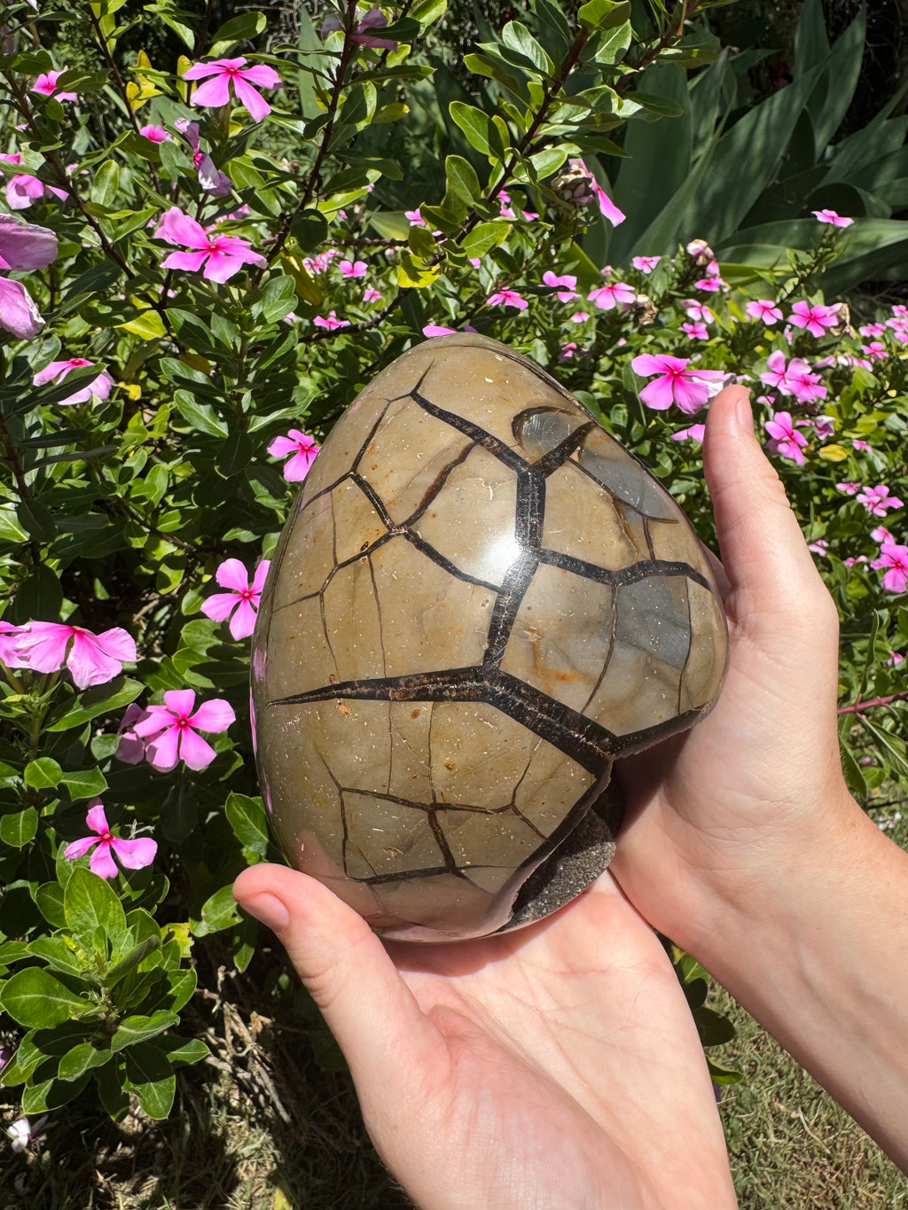 Septarian Druzy Egg with Calcite Inclusions - 2.446kg