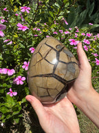 Septarian Druzy Egg with Calcite Inclusions - 2.446kg